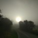 Foggy Morning 3