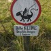 Keine Drachen! :)