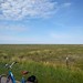 Hamburger Hallig in the Waddensea