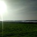 Keitum Waddensea in the morning