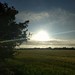 Summer Sun in the Morning