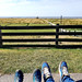Hamburger Hallig Feet