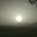 Foggy Morning 1